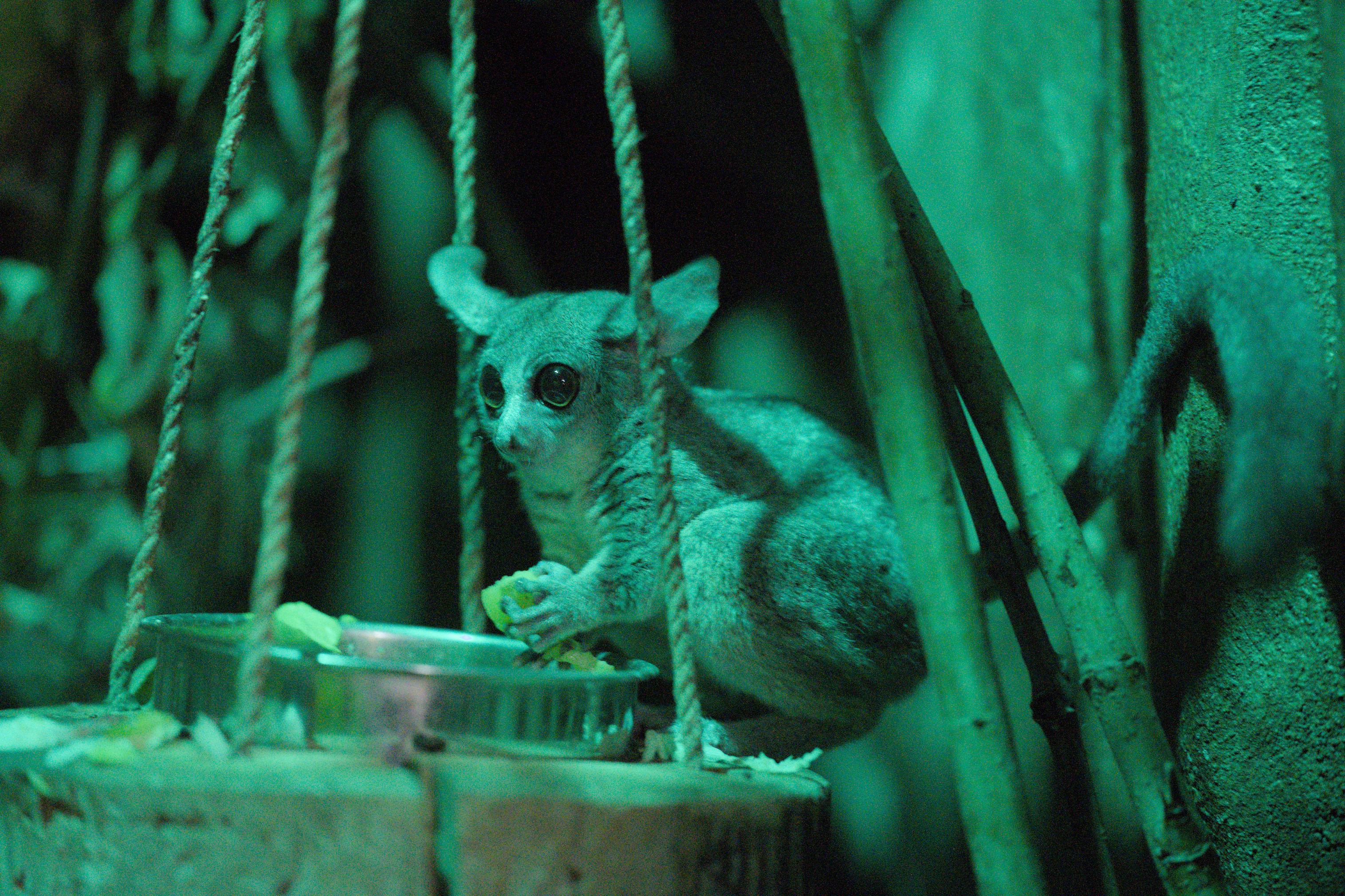 2025/10/12 - zoo/DSC_0297.jpg